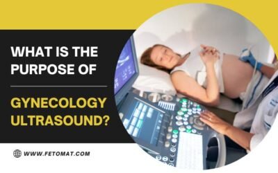 What Is The Purpose Of Gynecology Ultrasound?