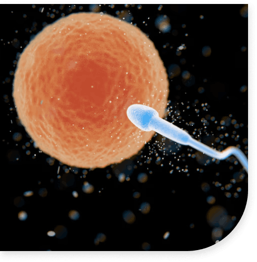 INFERTILITY & IVF CLINIC