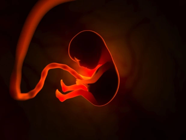 What Is a Low-Lying Placenta, and How Can an Ultrasound Help?